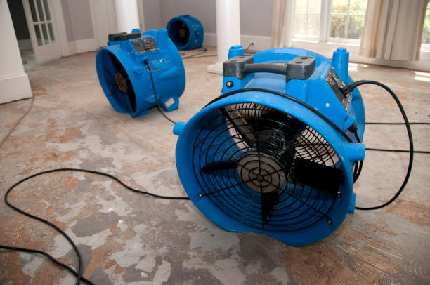 Best Commercial water damage restoration  in Greenwood, PA