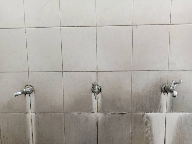 Best Professional water damage repair  in Greenwood, PA