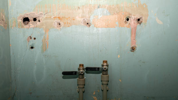 Best Flood damage cleanup  in Greenwood, PA