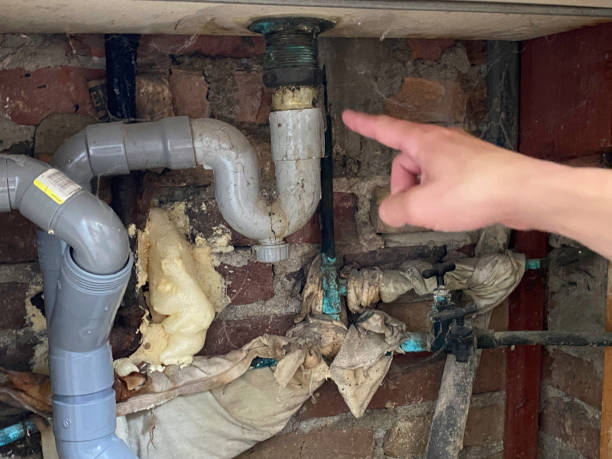 Best Flooded house restoration  in Greenwood, PA