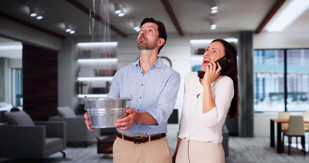 Best Carpet water damage restoration  in Greenwood, PA